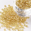 (Repacking Service Available) Glass Seed Beads SEED-C015-3mm-102B-1