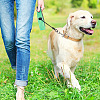 GOMAKERER 2Pcs 2 Colors Steel Wire Chew-Proof Dog Leash Extension AJEW-GO0001-39-6