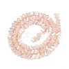 Electroplate Opaque Glass Beads Strands EGLA-Q139-01A-C03-2