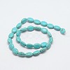 Dyed Synthetical Turquoise Oval Bead Strand X-G-P083-89G-2
