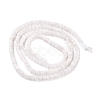 Natural Rainbow Moonstone Beads Strands G-K315-B08-5