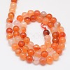 Natural Carnelian Beads Strands G-N0006-6mm-17-2