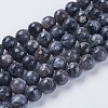 Natural Larvikite Beads Strands G-G542-8mm-27-1