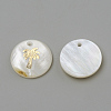 Freshwater Shell Pendants X-SHEL-Q010-008G-2