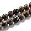 Round Natural Ocean Agate/Ocean Jasper Beads Strands G-O199-02B-1