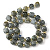 Natural Labradorite Beads Strands G-Q010-A25-01-3