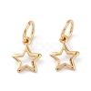 Brass Charms KK-A149-08G-2