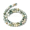 Natural Tree Agate Beads Strands G-K194-6mm-02-5