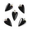 Natural Obsidian Pendants X-G-E570-01G-10-1