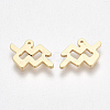 Ion Plating(IP) 304 Stainless Steel Charms X-STAS-S107-06I-1