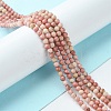 Natural Rhodonite Beads Strands G-F748-U01-02-2