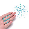 11/0 FGB Grade A Baking Paint Glass Seed Beads X-SEED-N001-A-1016-4