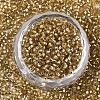 Glass Seed Beads X-SEED-S042-04B-07-2