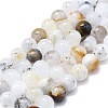 Natural White African Opal Beads Strands G-K245-A18-04-1