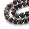 Natural Pietersite Beads Strands G-R446-10mm-13-3