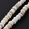 Natural Cultured Freshwater Shell Beads Strands SHEL-F002-01D-3