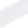 Frosted Transparent Glass Beads Strands GLAA-T032-T10mm-MBB13-2