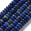 Natural Lapis Lazuli Beads Strands G-Z030-A22-01-2