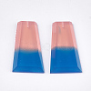 Resin Beads CRES-T014-17C-2