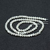 Natural White Moonstone Beads Strands X-G-P342-02A-4mm-AA-2