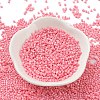Baking Paint Glass Seed Beads SEED-S042-05B-86-2