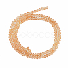 Glass Beads Strands EGLA-A034-T10mm-D23-2