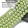 Eco-Friendly Dyed  Glass Pearl Round Bead Strands HY-A002-8mm-RB065-3
