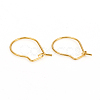 304 Stainless Steel Hoop Earrings STAS-I149-11G-3