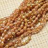 Electroplate Glass Beads Strands X-EGLA-J013-4X6mm-F05-1