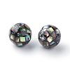 Natural Paua Shell Beads SSHEL-Q298-10mm-09-2