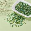 Glass Seed Beads X-SEED-S059-006-7