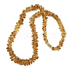 Natural Amber Chip Beaded Necklaces NJEW-L466-03B-4