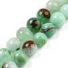 Natural Chrysoprase Beads Strands G-P503-8MM-03-1