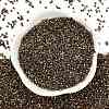 Electroplate Glass Seed Beads SEED-H003-10G-3