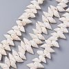 Natural Spiral Shell Beads Strands X-BSHE-I016-07-1
