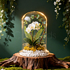 Arch Glass Dome Cover AJEW-WH0481-569A-4