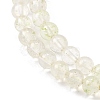 Watermelon Stone Glass Beads Strands G-L621-B04-4mm-4