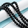 Natural Black Onyx Beads Strands X-G-Z024-01B-4