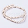 Synthetic Turquoise Beads Strands G-E456-45B-6mm-2