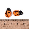 Handmade Lampwork Beads LAMP-R004-04-08-3