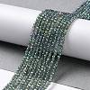 Electroplate Transparent Glass Beads Strands GLAA-H021-01A-FR01-3