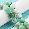 Natural Chrysoprase Beads Strands G-P503-10MM-03-2
