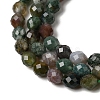 Natural Indian Agate Beads Strands G-K376-F18-01-4