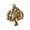 Tibetan Style Pendants TIBEP-A13000-AB-FF-2