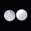 Natural White Shell Cabochons SSHEL-D083-13-2