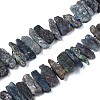 Natural Kyanite/Cyanite/Disthene Quartz Beads Strands G-R432-09-1