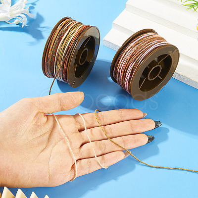 2 Rolls 2 Colors Segment Dyed Round Polyester Twisted Cords OCOR-TA0003-59C-1