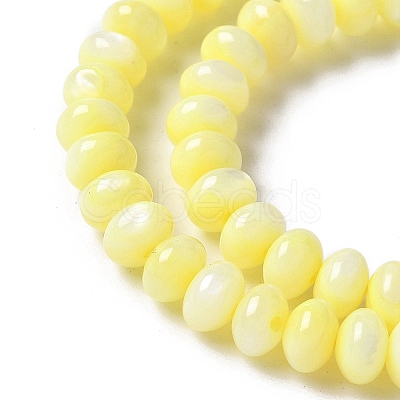 Natural Freshwater Shell Beads Strands SSHEL-C013-07C-1