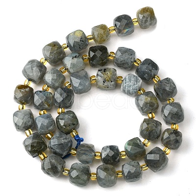 Natural Labradorite Beads Strands G-Q010-A25-01-1