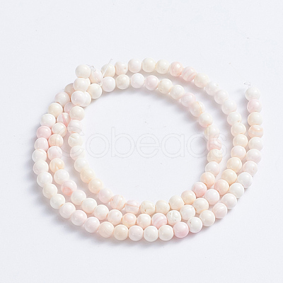 Natural Pink Shell Beads Strands SSHEL-L016-18C-1
